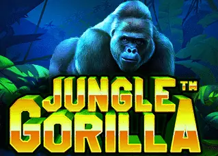 tong998 ทางเข้าล่าสุด Jungle Gorilla ทดลองเล่นฟรี
